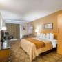 Guest room with added amenities Guest room with added amenities