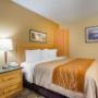 Guest room with king bed Guest room with king bed