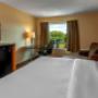 Guest room with king bed(s) Guest room with king bed(s)