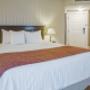 Guest room with king bed(s) Guest room with king bed(s)