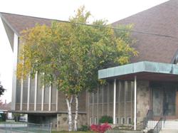 Meadow Creek Community Church