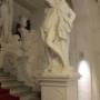 Vienna Vienna