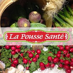 Pousse-Santé