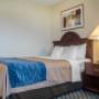 Guest room with one bed Guest room with one bed