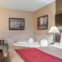 King suite with whirlpool bathtub King suite with whirlpool bathtub