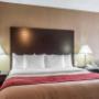 Suite with king bed Suite with king bed