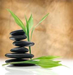 Parkdale Massage Therapy & Wellness