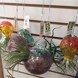 TG's Flowers & Crafts