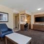 Spacious Suite with a Separate bedroom and living room with sofa bed Spacious Suite with a Separate bedroom and living room with sofa bed