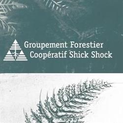 Groupement Forestier Shick Shock Inc