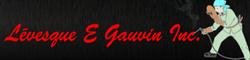Levesque & Gauvin Inc