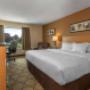 Guest room with king bed(s) Guest room with king bed(s)