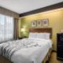 Guest room with queen bed(s) Guest room with queen bed(s)