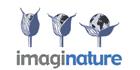 Imaginature