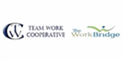 TEAM Work Cooperative Ltd