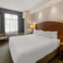 Suite King Suite King