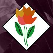Demarco Perpich Fine Flowers