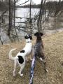 River-Watching