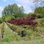 Uploaded by visitor on 3/29/2017 - Frost Nursery Uploaded by visitor on 3/29/2017 - Frost Nursery