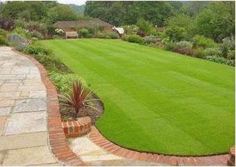 Manicured-Lawn