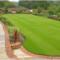 Manicured-Lawn