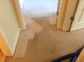 Carpet Cleaning House Package