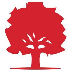 Advantage Health Castleridge Physiotherapy - pt Health