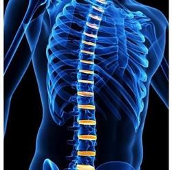 Carry Drive Chiropractic & Massage