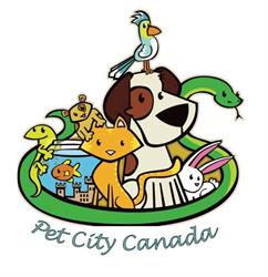 Pet City Canada