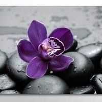 In Touch Massage Centre