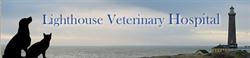 Lighthouse Veterinary Hospital Inc