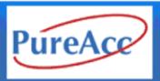 Pure Accounting Professionals Inc