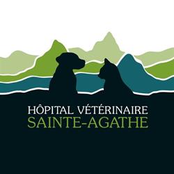 Hôpital Vétérinaire Ste-Agathe