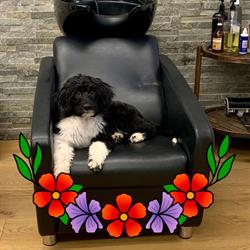 Salon En Tete Enr