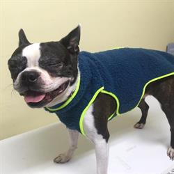 Borealis Kennels & Pet Specialties