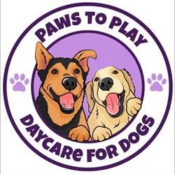 Paws To Play