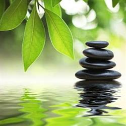 Westview Chiropractic and Wellness Centre