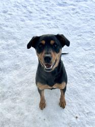 Wetaskiwin Animal Centre Ltd