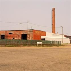 Assiniboia Livestock Auction