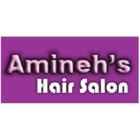 Amineh's Hair Care