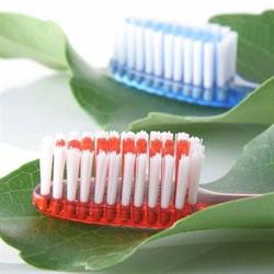 West 9th Dental