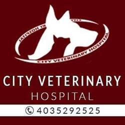 City Veterinary Hospital