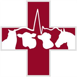 Owl Creek Veterinary Hospital