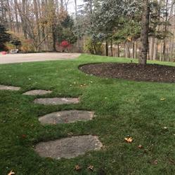 Golden Leaf Landscaping & Property Mtce