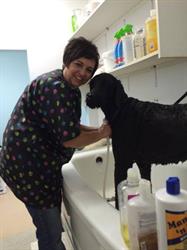 Fern's Dog Grooming