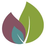 Pregnancy Care Centre
