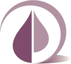 Pelvic Support Physiotherapy