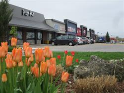 Stonegate Properties