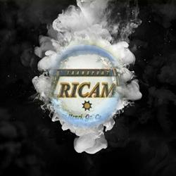 Transport Tricam Inc