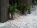 Concrete planters and firebowls